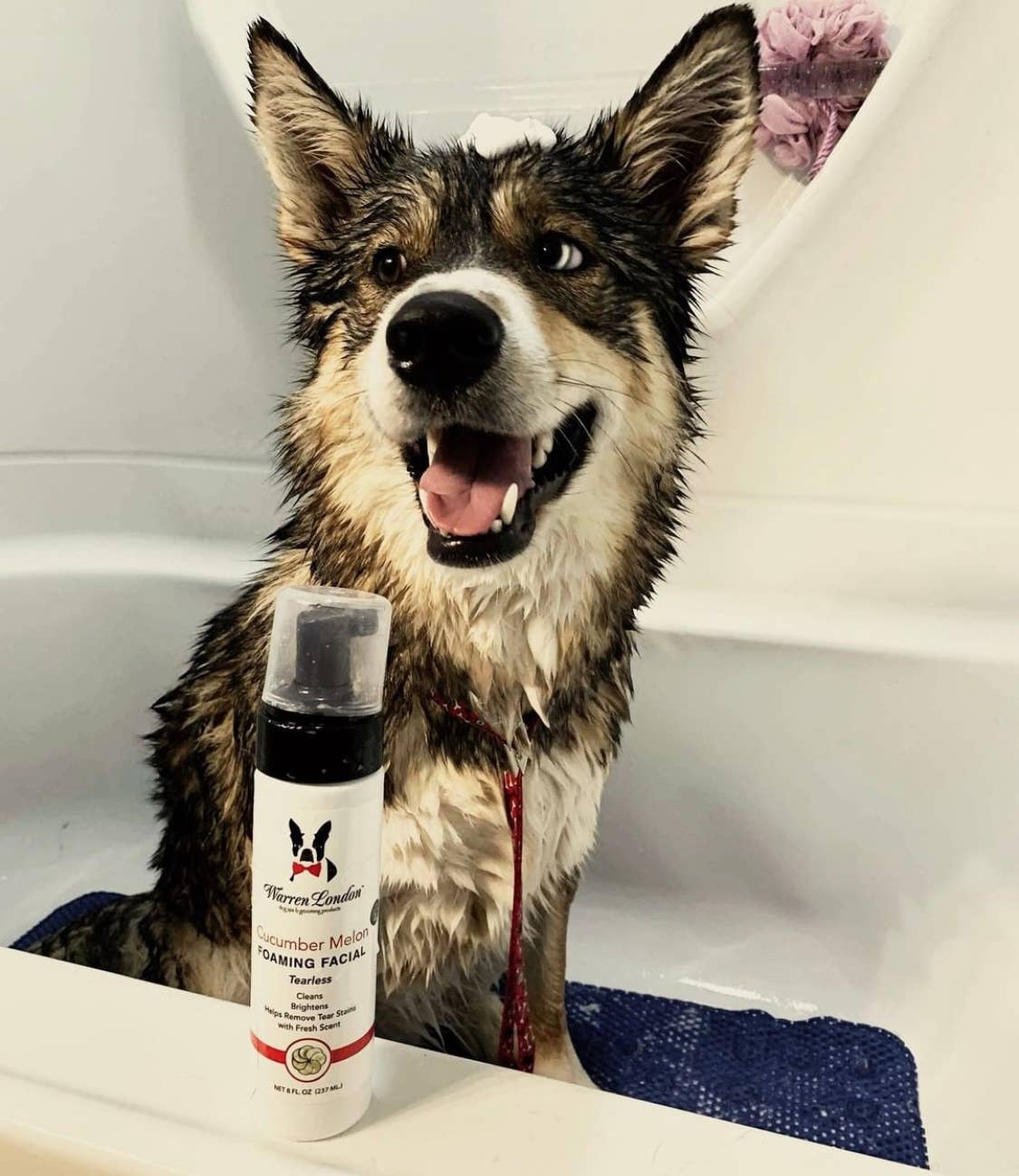 Tearless Shampoo for Dog Faces - Cucumber Melon - 2 Sizes: 8oz